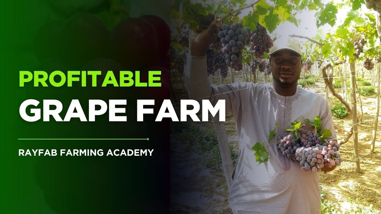 new course