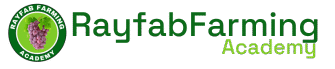 Rayfab Academy